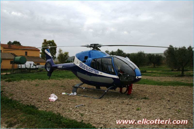 elifoto (102)